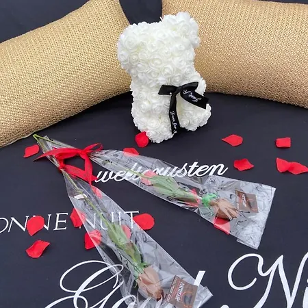 Sweet Dome In Bouillon Роскошный шатер